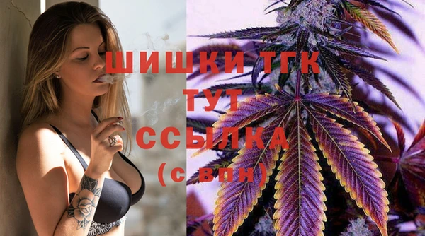 spice Алексин