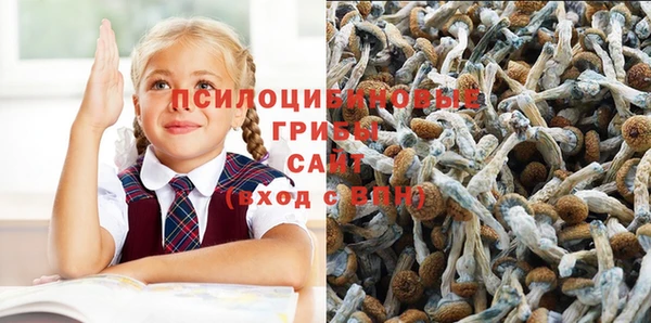 мдпв Арсеньев