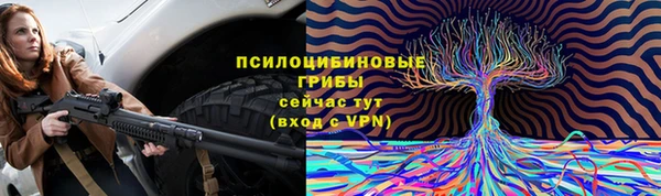 spice Алексин